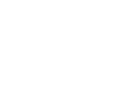 logo-prins